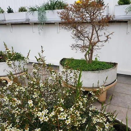 Maximo Confort Διαμέρισμα *