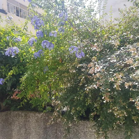 Maximo Confort Apartment Lugo