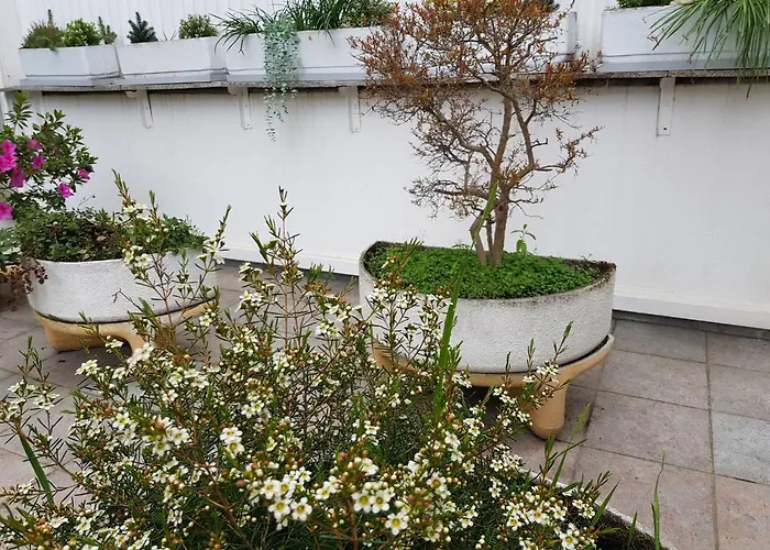 Maximo Confort 公寓 *