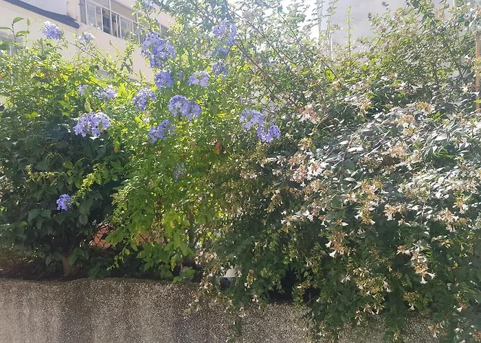 Maximo Confort Daire Lugo